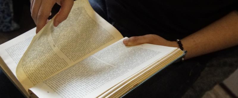 Фото: Никита Трушков, портал «Вологда-Поиск»