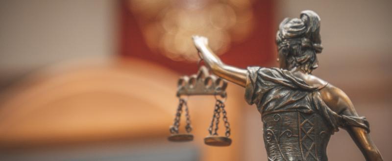 Фото Тимура Бойкова/Вологда-Поиск