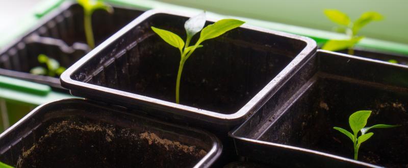 Фото: портал «Вологда-Поиск»