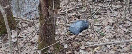 пресс-служба УМВД по Вологодской области