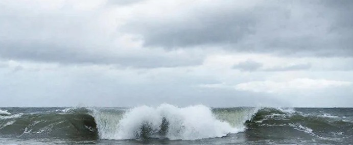 изображение сгенерировано ИИ 