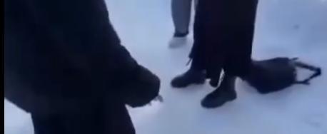 Принтскрин с видео