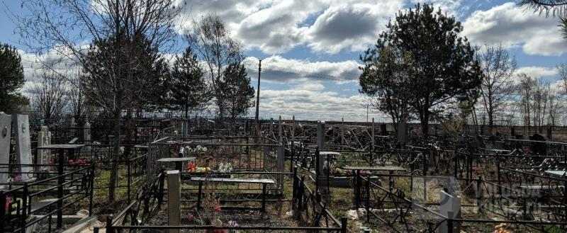 Вологда-поиск