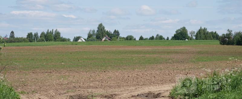 фото: Вологда-поиск