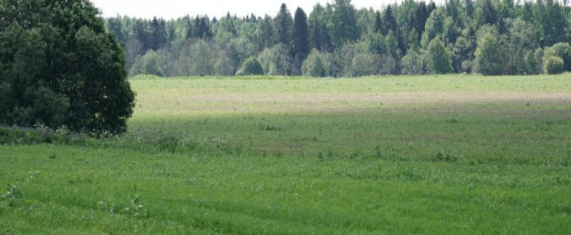 Тимура Бойкова/