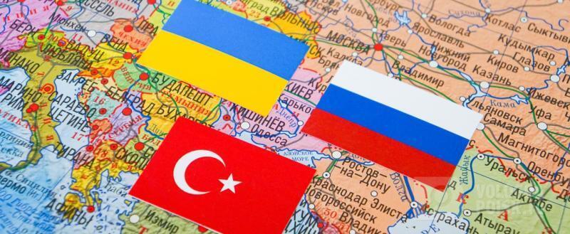 Вологда-поиск