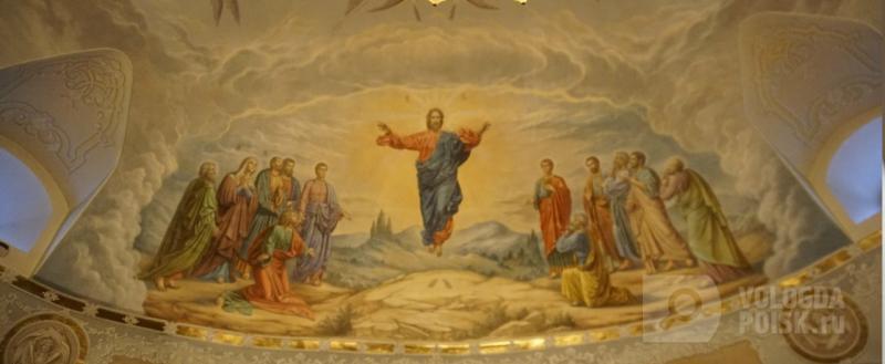 Вологда-поиск