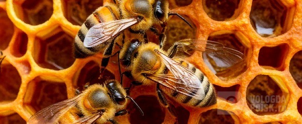 Сгенерировано нейросетью Шедеврум