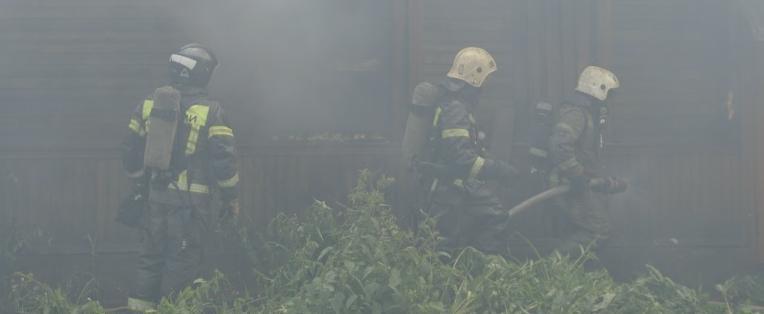 Никита Трушков, Vologda-Poisk.ru