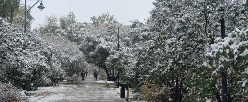 Елена Литвинова, Vologda-poisk.ru