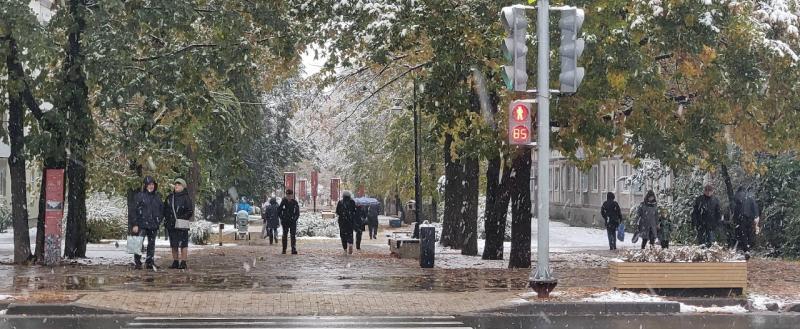 Тимур Бойков, Vologda-poisk.ru