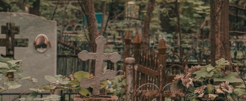 Тимур Бойков, Vologda-poisk.ru