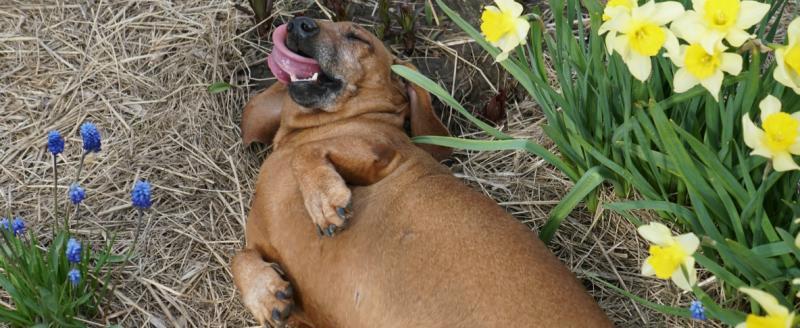 Тимур Бойков, Vologda-poisk.ru