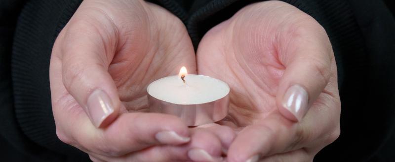 Фото Тимура Бойкова/Вологда-Поиск