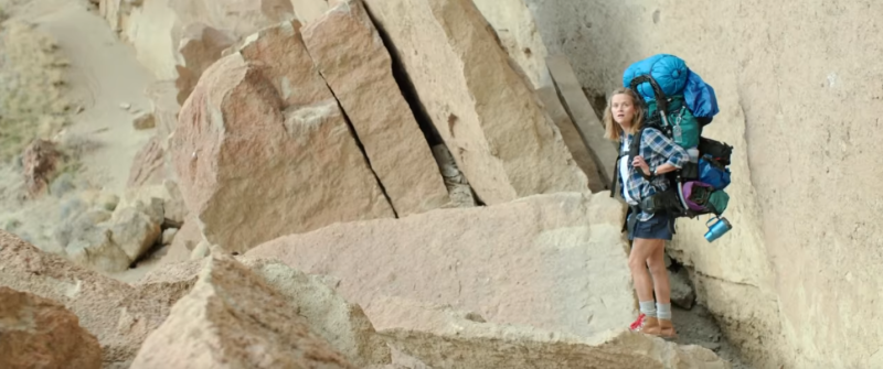 &laquo;Дикая&raquo;, 2014, 18+