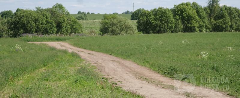 фото: Вологда-поиск