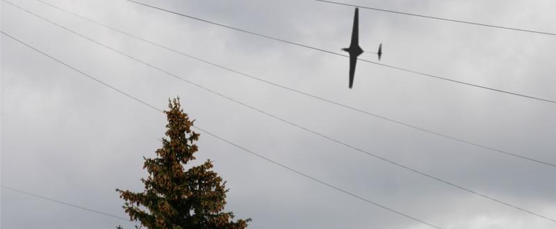 Тимур Бойков, Vologda-poisk.ru