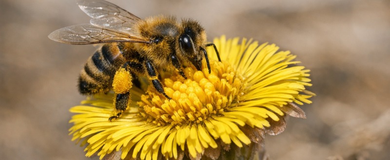 Создано ИИ (Microsoft Copilot)