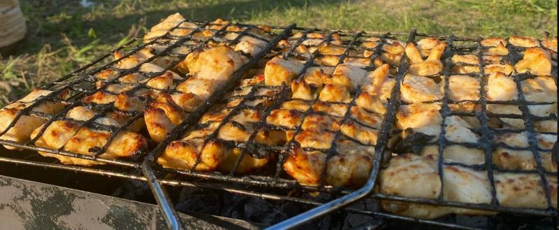 Дарья Богданова, Вологда-поиск