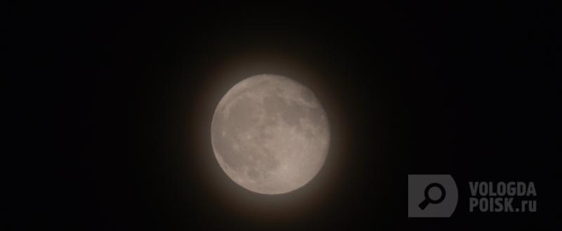 Вологда-поиск