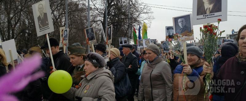 Вологда-поиск