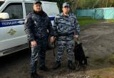 пресс-служба УМВД по Вологодской области