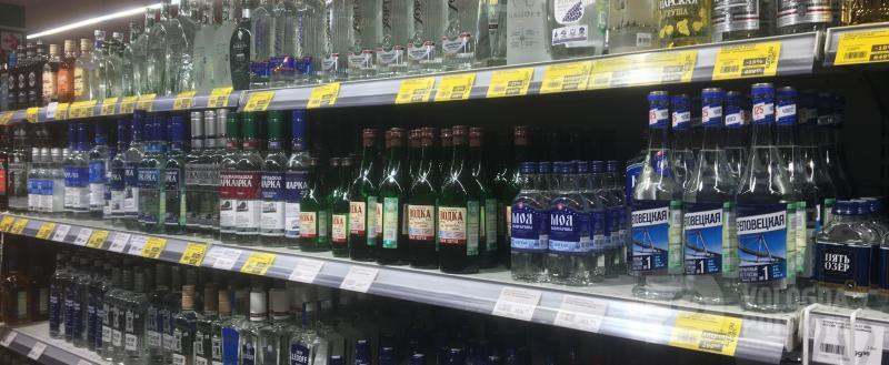 Вологда-поиск