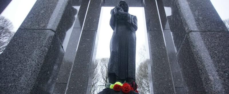 Никита Трушков, Вологда-поиск