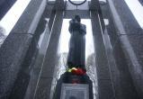 Никита Трушков, Вологда-поиск