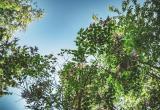 Тимур Бойков, Vologda-poisk.ru