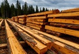 Изображение создано нейросетью, источник - shedevrum.ai
