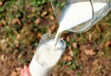 Ученые из Норвегии рассказали, какое молоко вредно для сердца