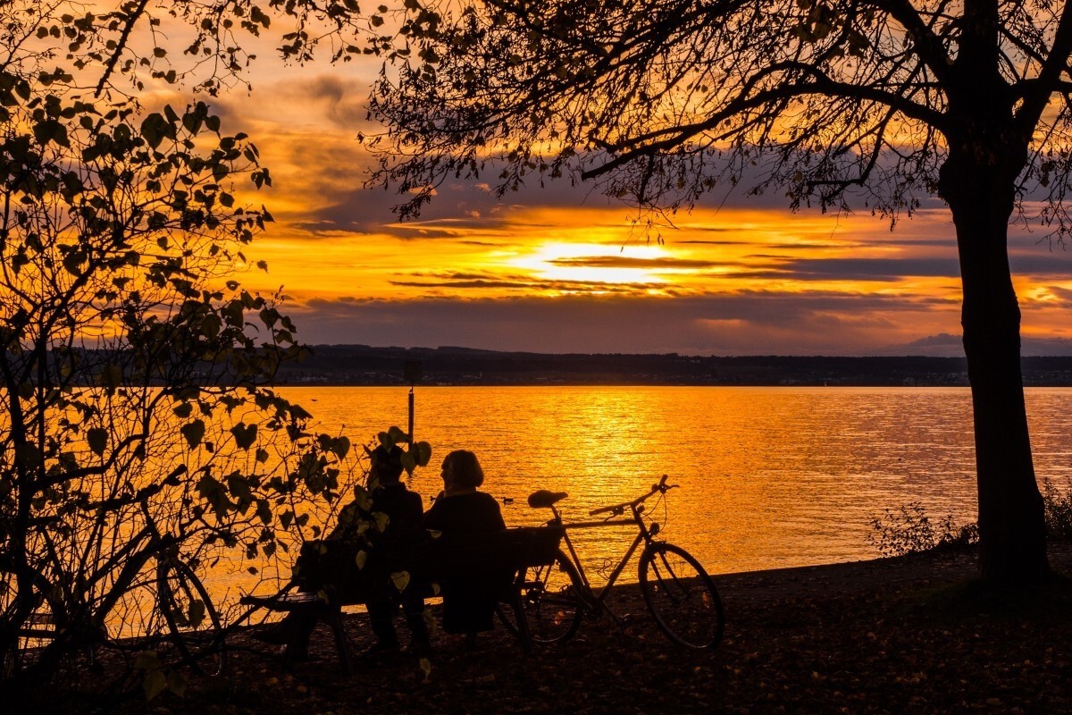 Фото: pxhere.com