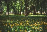 Тимур Бойков, Vologda-poisk.ru