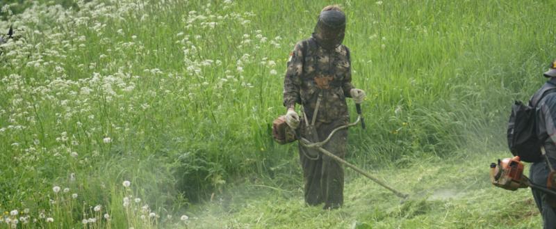 Тимур Бойков, Vologda-poisk.ru