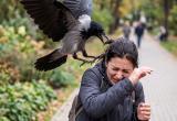 Фото сгенерировано ИИ