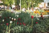 Тимур Бойков, Vologda-poisk.ru