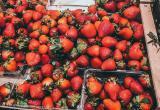 Тимур Бойков, Vologda-poisk.ru