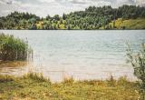 Тимур Бойков, Vologda-poisk.ru