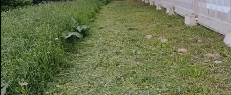 Принтскрин с видео