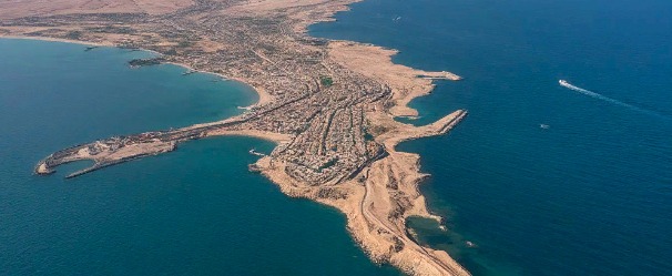 сгенерировано нейросетью Шедеврум