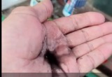 Скриншот видео сообщества "Подслушано в Рыбинске"