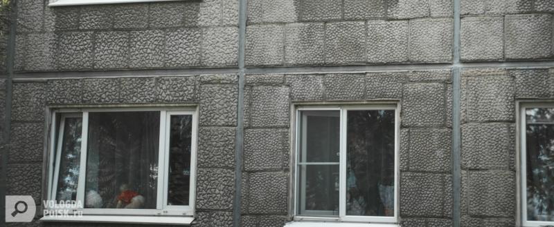 Тимур Бойков, Vologda-poisk.ru