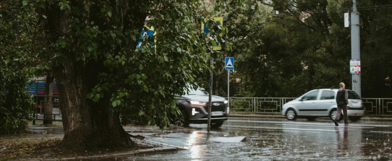 Тимур Бойков, Vologda-poisk.ru