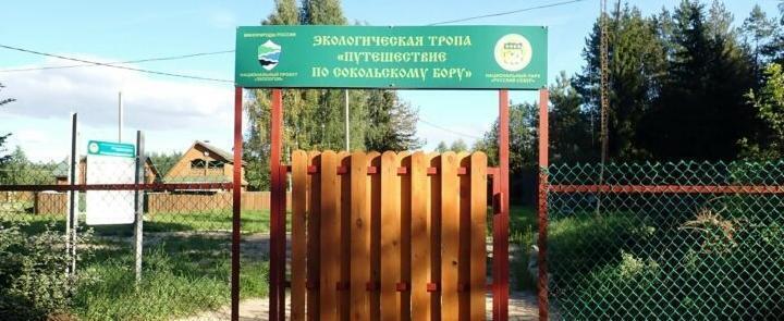 фото: НП 