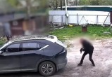 пресс-служба УМВД по Вологодской области
