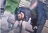 пресс-служба УМВД по Вологодской области