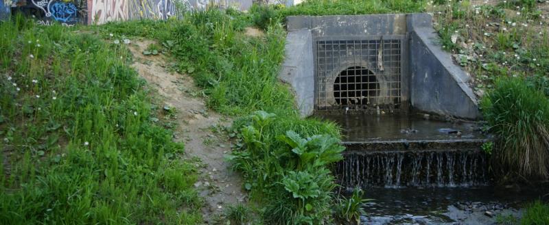 Никита Трушков, Vologda-Poisk.ru
