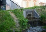 Никита Трушков, Vologda-Poisk.ru