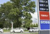 Дарья Богданова/&laquo;Вологда-Поиск&raquo;